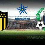 Peñarol vs. Liverpool EN VIVO - Canales TV para ver la Liga de Uruguay 3 Peñarol vs. Liverpool EN VIVO - Canales TV para ver la Liga de Uruguay