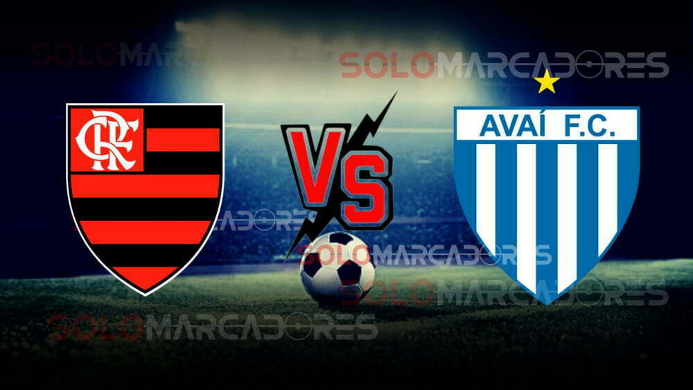 EN VIVO Flamengo vs. Avaí partido por la fecha 19 del Brasileirao