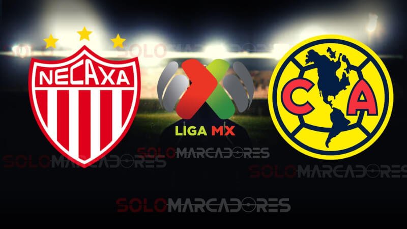 EN VIVO América vs. Necaxa VER PARTIDO fecha 14 de la Liga MX