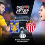 EN VIVO - ONLINE TV Tigres vs. Necaxa partido por Playoffs de Liga MX 2022 4 EN VIVO - ONLINE TV Tigres vs. Necaxa partido por Playoffs de Liga MX 2022