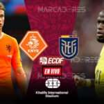 Países Bajos vs Ecuador: alineación, donde ver el partido EN VIVO por el Grupo A segunda fecha por el Mundial Qatar 2022 4 EN VIVO PAISES BAJOS VS. ECUADOR MUNDIAL 2022