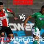 Ver en vivo Palestino vs Audax Italiano en la primera fecha del Campeonato Nacional de fútbol 4 Ver en vivo Palestino vs Audax Italiano en la primera fecha del Campeonato Nacional de fútbol
