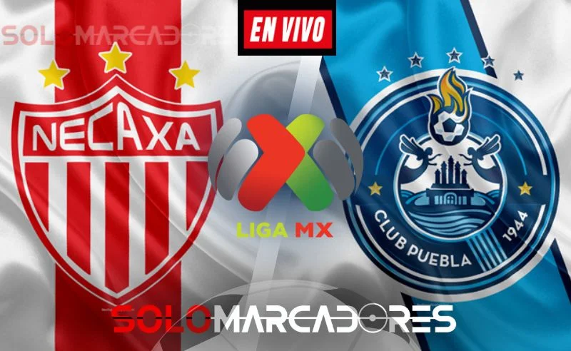 ¿Dónde ver EN VIVO la trasmisión del partido entre Necaxa vs. Puebla?