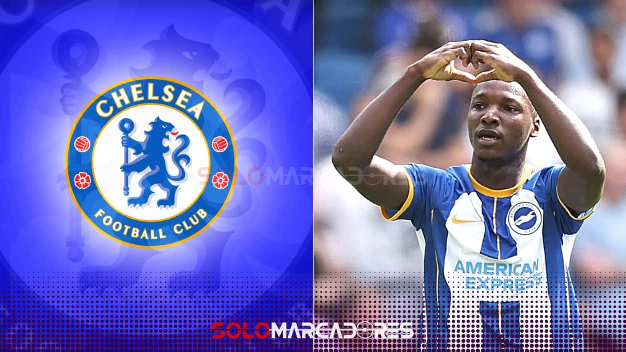 Chelsea insiste con una tercera propuesta millonaria por el estelar Moisés Caicedo