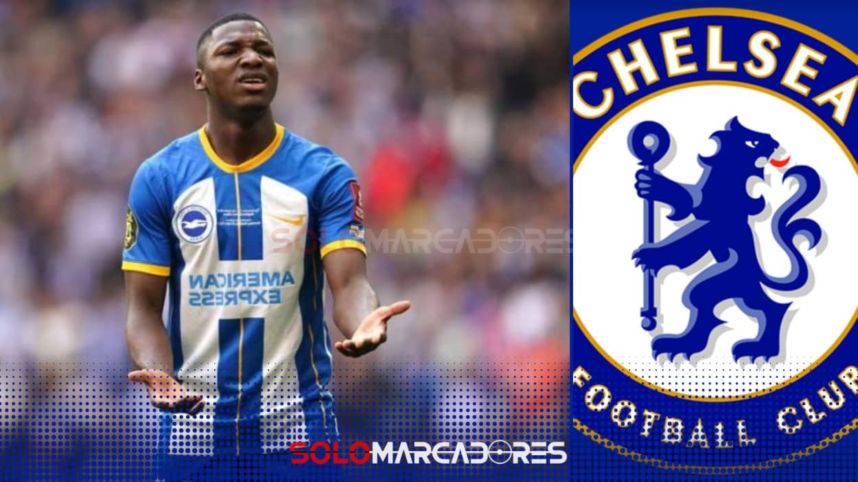 ¡Oferta impresionante! Chelsea persiste por Moisés Caicedo