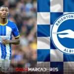 Moisés Caicedo es nombrado Mejor Jugador del Brighton & Hove Albion de la temporada 2022-2023 4 Moisés Caicedo El Mejor del Brighton & Hove Albion de la Temporada 2022-2023