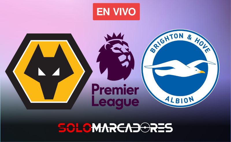 HOY Wolves vs Brighton EN VIVO: ¿Dónde ver por TV la Premier League?