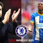 ¡Chelsea Ofrece 120 Millones para fichar a Moisés Caicedo y debutar contra Liverpool! 3 ¡Chelsea Ofrece 120 Millones para fichar a Moisés Caicedo y debutar contra Liverpool!