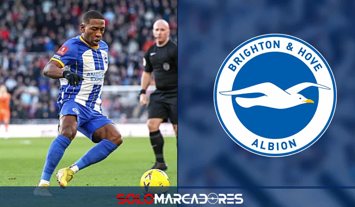 Pervis Estupiñán, la Incógnita del Brighton ¿Cuándo Volverá al Campo