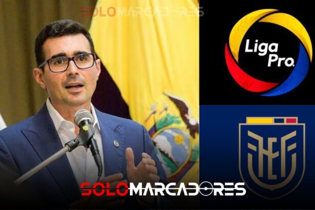 Ministerio del Deporte actúa contra inversiones ilegales