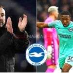 Pervis Estupiñán listo para regresar: Brighton y De Zerbi anuncian su recuperación 3 Pervis Estupiñán listo para regresar Brighton y De Zerbi anuncian su recuperación