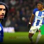 Pervis Estupiñán: ¿El Próximo Gran Traspaso del Brighton por 100 Millones de Dólares? 4 Pervis Estupiñán ¿El Próximo Gran Traspaso del Brighton por 100 Millones de Dólares