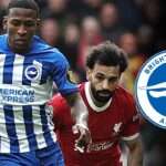 Brighton y Pervis Estupiñán sufren revés ante Liverpool