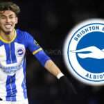 ¡GANA LA TITULARIDAD! Jeremy Sarmiento destaca en la pretemporada en el Brighton 4 ¿El resurgir de Jeremy Sarmiento? La sorpresiva decisión del Brighton que cambia todo