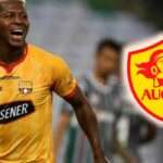 Gabriel Cortez llevaría sus habilidades a Aucas para esta segunda etapa de la LigaPro 4 Gabriel Cortez llevaría sus habilidades a Aucas para esta segunda etapa de la LigaPro