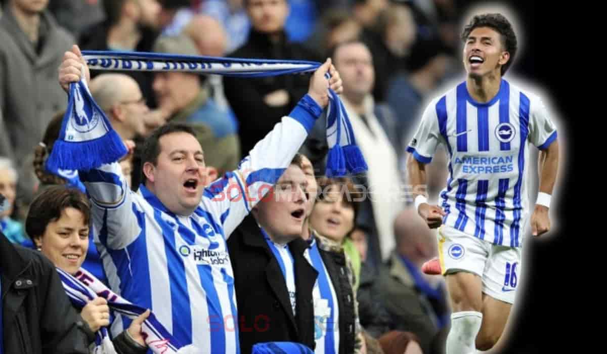 Aficionados del Brighton aclama a Jeremy Sarmiento y otros clubes lo quieren