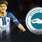 Jeremy Sarmiento: Determinado a Consolidarse en el Brighton y Permanecer en la Premier League 3 Jeremy Sarmiento: Determinado a Consolidarse en el Brighton y Permanecer en la Premier League