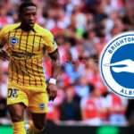 Pervis Estupiñán recibe Halagos del DT del Brighton tras su regreso 3 Pervis Estupiñán recibe Halagos del DT del Brighton tras su regreso