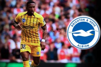 Pervis Estupiñán recibe Halagos del DT del Brighton tras su regreso