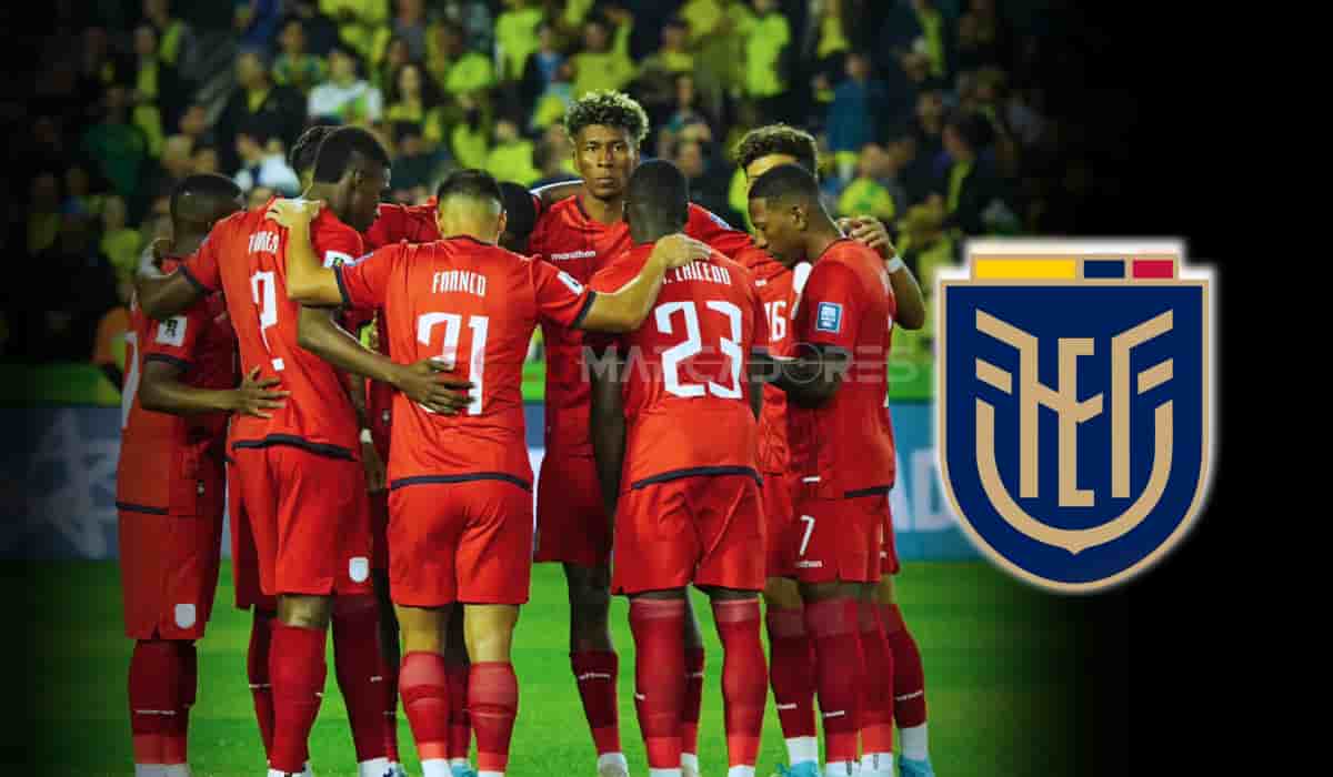 Ecuador dejó buenas sensaciones pese a la derrota ante Brasil
