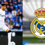 Piero Hincapié al Real Madrid - El defensor ecuatoriano podría acercarse al Bernabéu gracias a Xabi Alonso