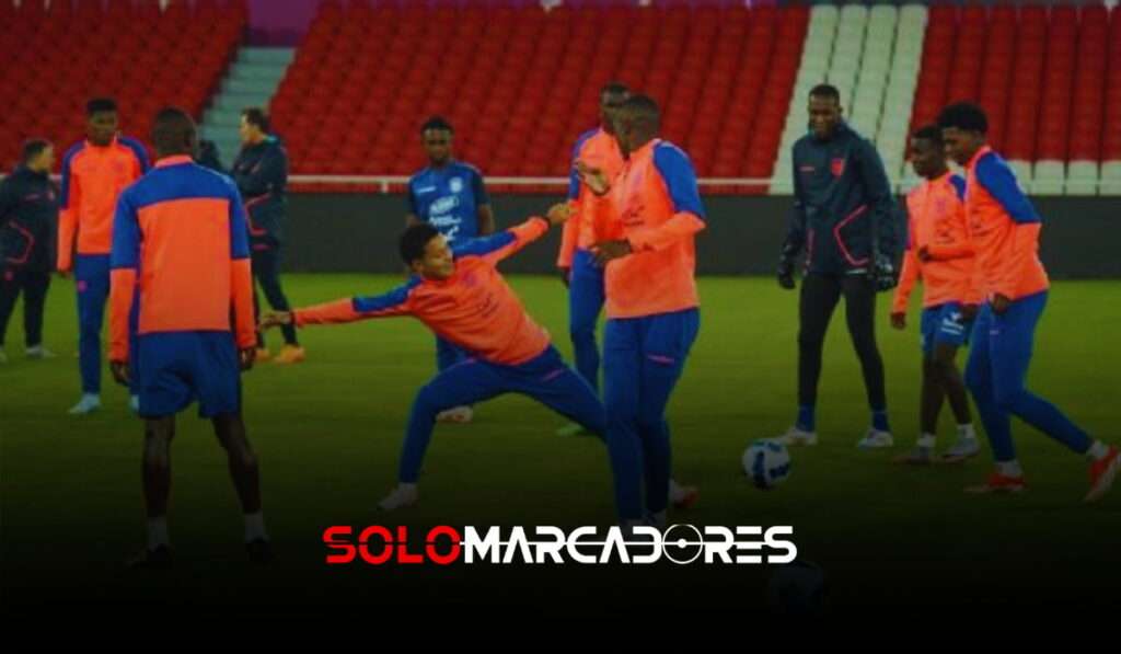 Conoce a los Invitados y Sparrings para los Duelos ante Bolivia y Colombia