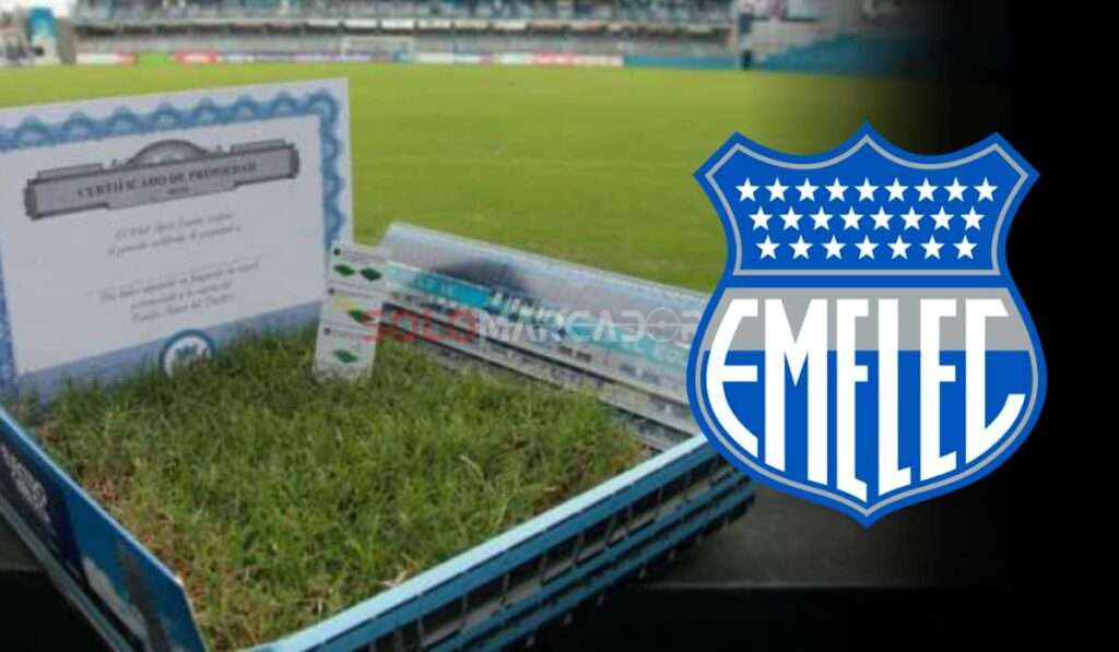 El Capwell en Remodelación: La Verdadera Razón del Estado del Césped