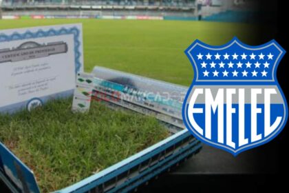 El Capwell en Remodelación: La Verdadera Razón del Estado del Césped