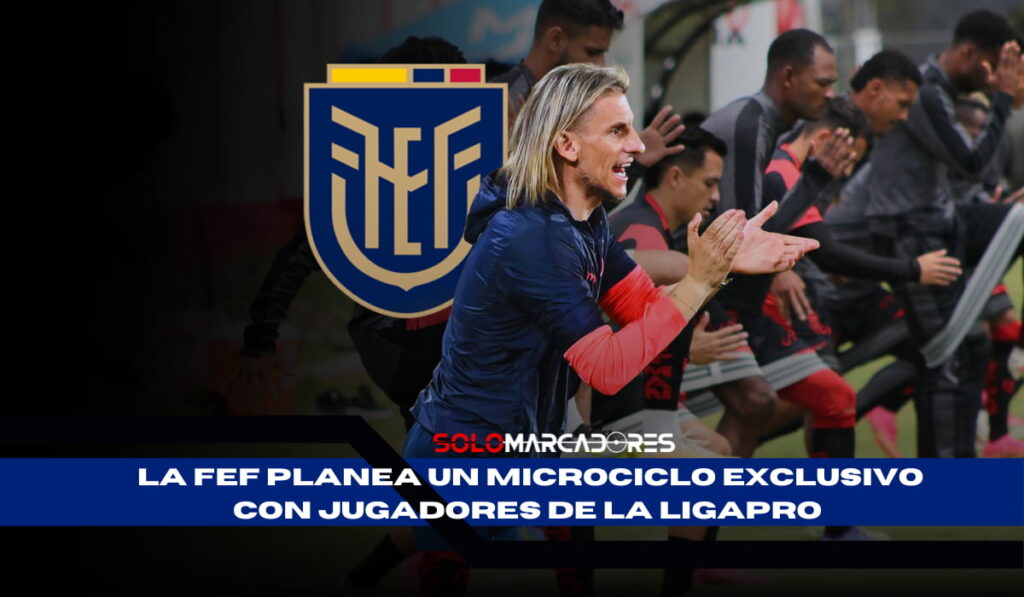 ¡Atención, hinchas de La Tri! La FEF planea un microciclo exclusivo con jugadores de la LigaPro