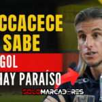 ¿Crisis o convicción? El fuerte cruce de Beccacece tras el empate de Ecuador ante Brasil 4 ¿Crisis o convicción? El fuerte cruce de Beccacece tras el empate de Ecuador ante Brasil