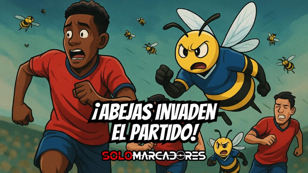 ¡Ataque inesperado en la Segunda Categoría! El fútbol ecuatoriano fue detenido por una nube de abejas