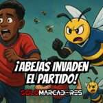 ¡Ataque inesperado en la Segunda Categoría! El fútbol ecuatoriano fue detenido por una nube de abejas