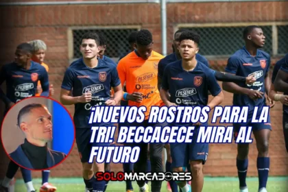 Beccacece apuesta por el futuro