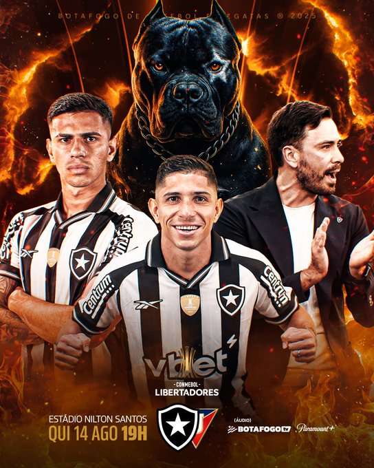 Botafogo vs Liga de Quito