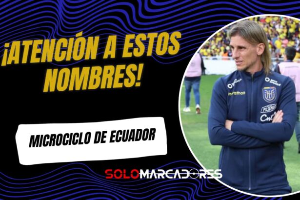 Microciclo de la Selección de Ecuador: los jóvenes convocados por Sebastián Beccacece