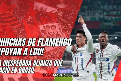 Hinchas de Flamengo