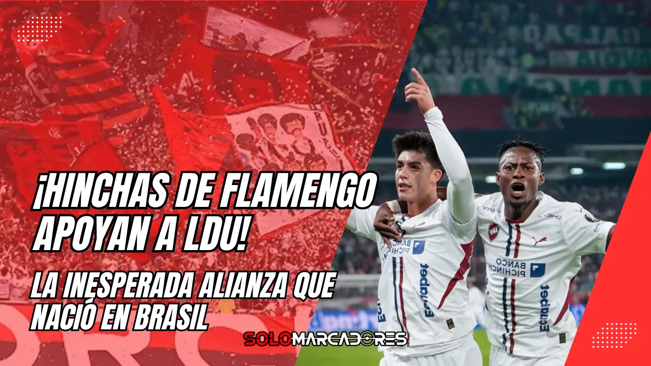 Hinchas de Flamengo