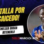 PSG y Real Madrid siguen de cerca a Moisés Caicedo