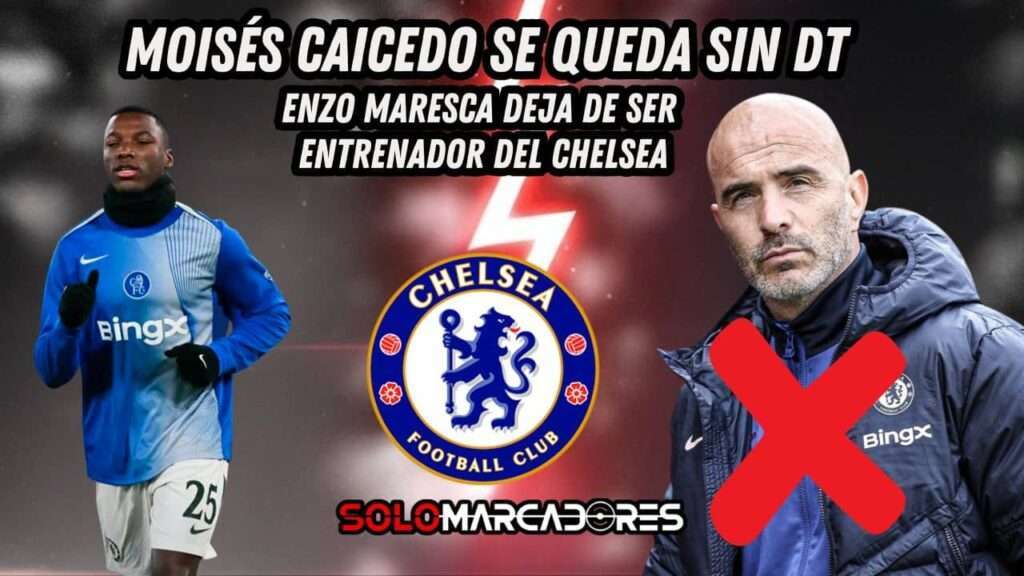 Moisés Caicedo se queda sin DT: Enzo Maresca deja de ser entrenador del Chelsea