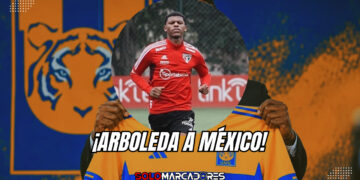 Robert Arboleda