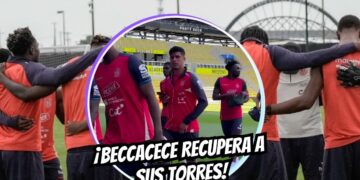 Beccacece respira aliviado: Las dos figuras de Ecuador que alejan las alarmas antes del Mundial 10 Sebastián Beccacece sonríe en el entrenamiento de la Selección de Ecuador tras la recuperación de dos figuras clave antes del amistoso.