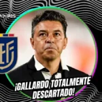 El plan de la FEF para elegir al nuevo DT de Ecuador tras romper el silencio sobre Marcelo Gallardo 3 FEF desmiente contactos con Marcelo Gallardo y fija los plazos definitivos para la llegada del nuevo DT de Ecuador en las Fechas FIFA.
