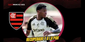 Gonzalo Plata supera sus dolencias y ya entrena a la par en Flamengo 5 Gonzalo Plata dejó atrás sus dolencias físicas y entrena a la par en Flamengo. El extremo apunta a reaparecer este fin de semana ante Vitória.