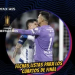 El reto definitivo: Liga de Quito ya conoce a su rival en los cuartos de final de la Copa Libertadores 2026 3 Liga de Quito clasificó a los cuartos de final de la Copa Libertadores 2026 y enfrentará a Palmeiras en septiembre. Conoce las fechas y detalles de la llave.