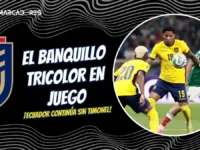 ¿Quién dirigirá a la Tri? Las 3 opciones que analiza la FEF para el banquillo de Ecuador 5 La FEF evalúa a Gallardo, Zubeldía y Roberto Martínez para definir al nuevo director técnico de Ecuador antes del amistoso en Corea.