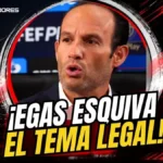 La FEF fija su postura ante la llegada del nuevo DT: La declaración de Francisco Egas en Quito 3 Francisco Egas confirmó el entusiasmo de la FEF por el arribo de Marcelo Gallardo a la Selección de Ecuador. Revisa sus declaraciones.